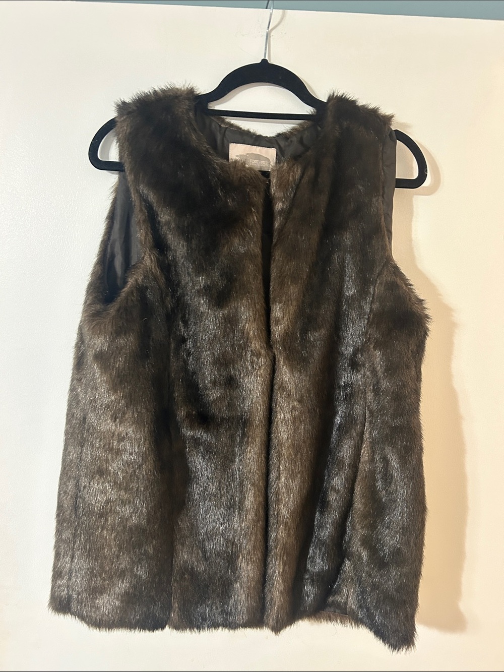 Forever 21 Faux Fur Teddy Vest in Dark Brown
